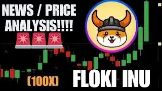 Floki Inu Coin Reasonable Update 2025 | Complete Analysis
