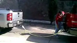 Lobo vs cheyenne uruapan