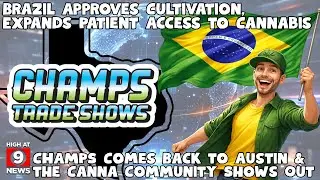 Brazil Approves Licensed Medical Marijuana Cultivation for First Time