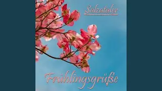 Fr&uuml;hling am Lago Maggiore