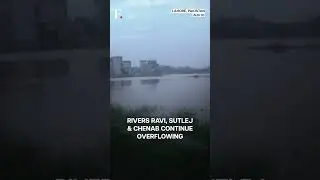 Monsoon Floods Hit Pakistan's Punjab, 1.5 Million Affected | Subscribe to Firstpost | N18G