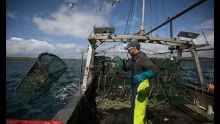 Brexit: Fisherman on 'trouble' France will cause with fisheries