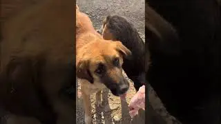 They feel very strong and can sense me from a distance
