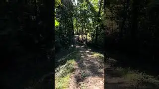 October Trail and sounds  -  hidden trail #hikingtrail #walkathome #tredmill
