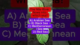 Nile River Flows Into Which Sea? 🌊 GK Quiz | IQ VistaX #didyouknow #quiztime #brainlearning