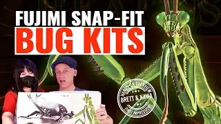 Рассматриваем наборы для сборки насекомых Snap-Fit от Fujimi | #askhearns