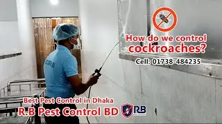 How do we control cockroaches-R.B Pest Control BD- Best Pest Control Service in Dhaka