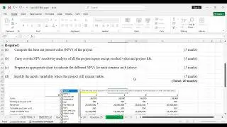 Business Data Analytics -CPA(April 2025)-Q 22-Project Evaluation and Sensitivity Analysis.