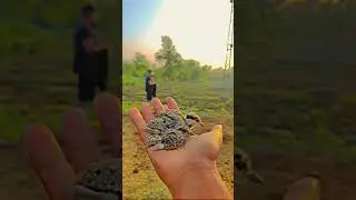 SubhanAllah #love #arabic #nature #shortsviral #beautiful #shorts #trending #trendingshorts #viral