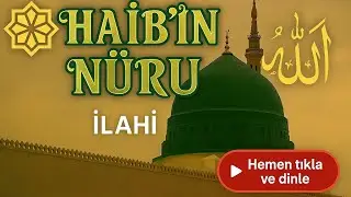 Habîb’in Nûru – İlahi | Gönülleri titreten bir aşkın sesi