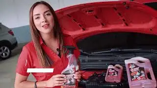Desengrasante de Motor l Ebullient Workshop