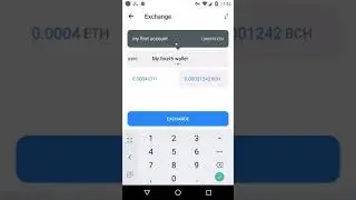 transcrypt demo (exchange feature)
