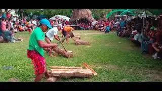wood splitting competition won by Lamut