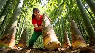 Timelapse - Harvesting Bamboo Shoots to Sell at the Market | Pickled Garlic & Chili