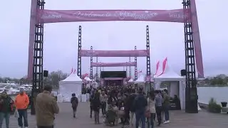 What to expect from Petalpalooza at the Cherry Blossom Festival