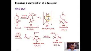 Lecture 5 Terpineol