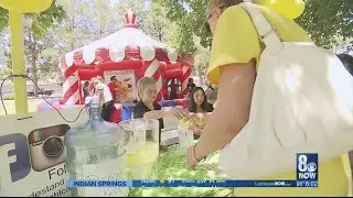 Kids sell lemonade to raise money for cancer research