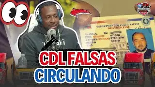 🚨 ¡Alerta! 4% de los Camioneros en EE.UU. Tienen Licencias Falsas