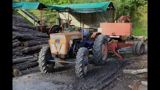 Sfumatura TRATTORI agricoli boschivi -  Pistoiese Tour 2024