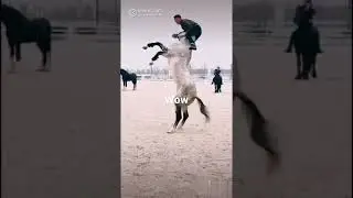 respect for the horse #wow # amazing #respect