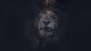 HARD TRAP FREESTYLE BEAT | NON-STOP TRAP | AGGRESSIVE AND DISS | 2025