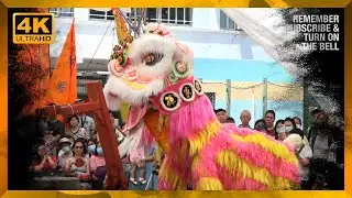 2O23 Hong Kong Hong CLou Traditional Lion Dance Competition 雄獅樓盃 獅王競賽 // 香港寶芝林蘇志剛國術龍獅會 A 隊