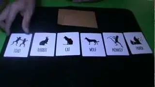 animal prediction