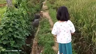 Suasana di kampung Uyut