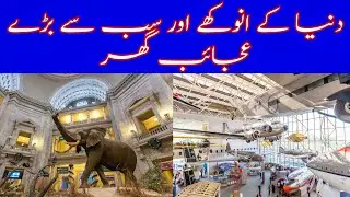 Top 5 amazing and largest museum in the world||JS amazing info||