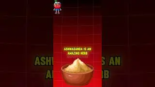 Ashwaganda EXPLAINED | Know Your Body 🍎 #health #diet #suppliments #ashwaganda