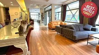 Hotellino | İstanbul, Turkey | Hotel Review 🏨