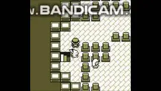Pokemon rot/blau/gelb  lavadina Tick red/blue /yello  27.10.2025...