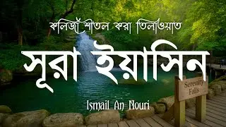 অন্তর শীতল করা সূরা ইয়াসিন এর তিলাওয়াত | Surah Yasin by Ismail An Nouri | Quran Reaction 2026