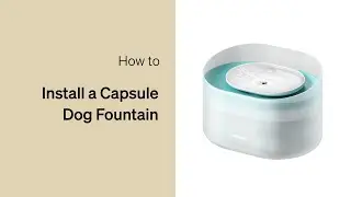 How to Install Your Fountain | Petlibro Capsule Dog Fountain