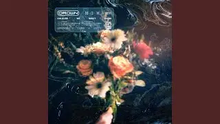 Carbon14
