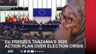 EU FREEZES TANZANIA&rsquo;S 2025 ACTION PLAN OVER ELECTION CRISIS