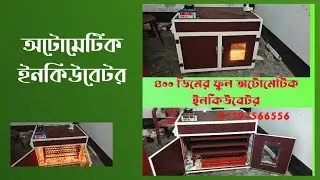 অটোমেটিক ইনকিউবেটর