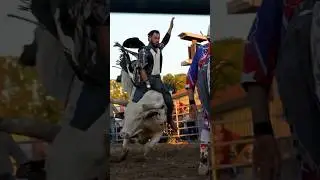 These bulls put on a great show! 💥