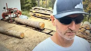 Off-Grid Cabin Series Video 2: Cutting the First Logs for My Off-Grid Cabin