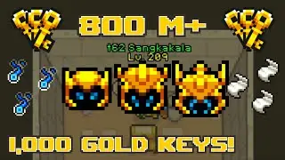 Curse of Aros: Grand Opening of 1,000 Gold Chest! I Got Soulgazer S4! | Sang Road to Ancient Set