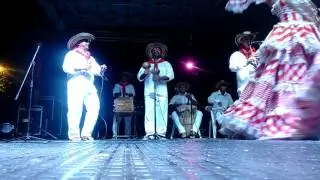 Rosa valerosa (son Ceret&eacute; )