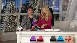 Set of 2 miniWisp Brush and Dustpan Set by Lori Greiner on QVC