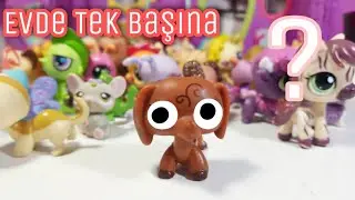 Minişler: Evde Tek Başına ? | Minişler LPS Pati