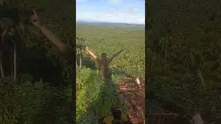 See with over looking and adventure