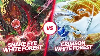 Best Yu-Gi-Oh Master Duel Ever!!!