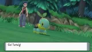 [LIVE] SHINY TURTWIG in Pokemon Brilliant Diamond & Shining Pearl AFTER 5 DAYS #BDSP