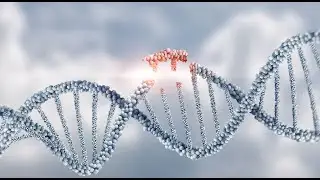 Zukunft der Medizin: Zell- und Gentherapien bei Atemwegserkrankungen