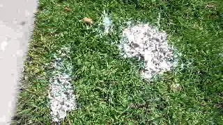 aftermath of milk challenge part II :o