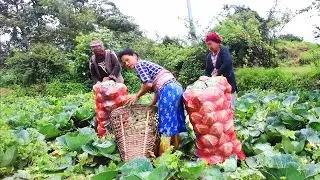 Primitive Village Life of nepal || Capturing the Everyday Moments of Nepali Mountain Village Life