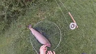 #4: A Day Stalking Trout at Rockbourne with Martyn Williams